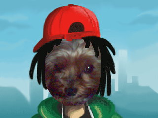 DSCOO3.jpg
